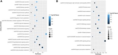 Sequencing Reveals Population Structure and Selection Signatures for Reproductive Traits in Yunnan Semi-Fine Wool Sheep (Ovis aries)